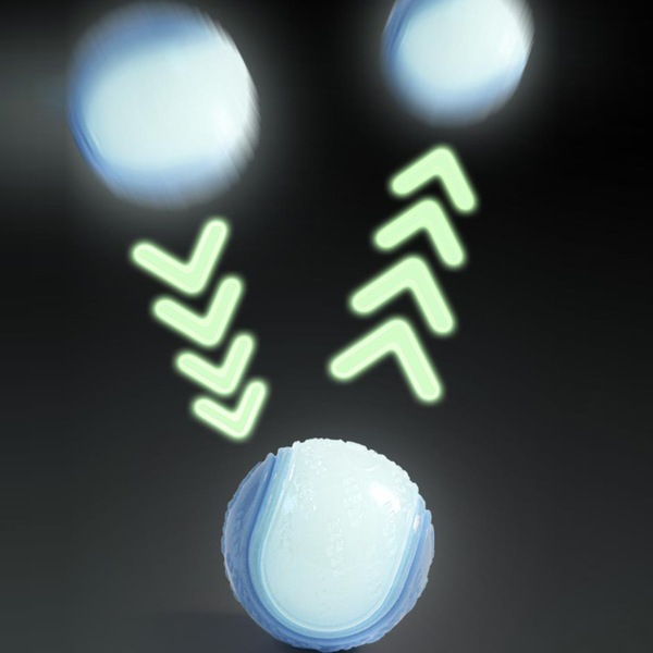 Image 21