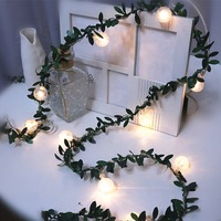 USB Charging Vine Flower Fairy String Light with 6 Meter Length