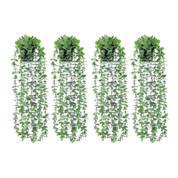 Image 17