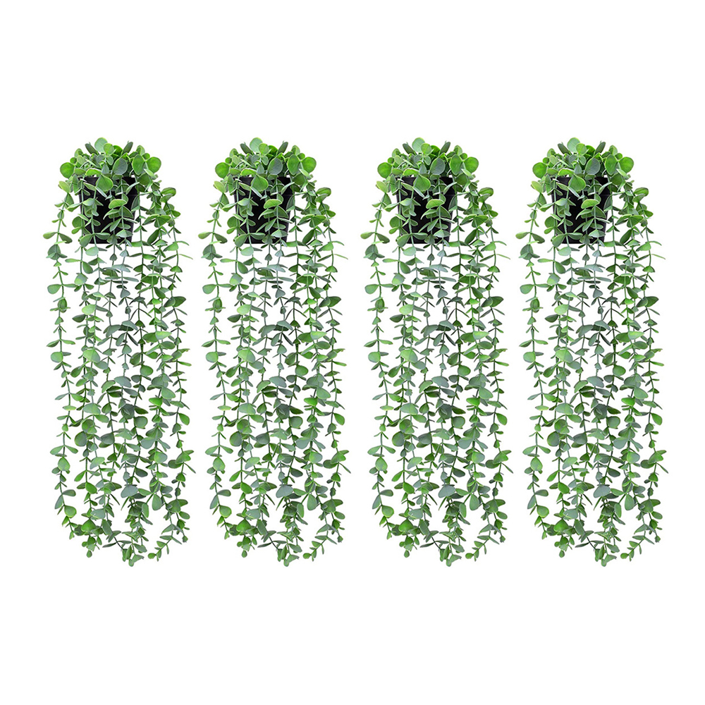 Image 17