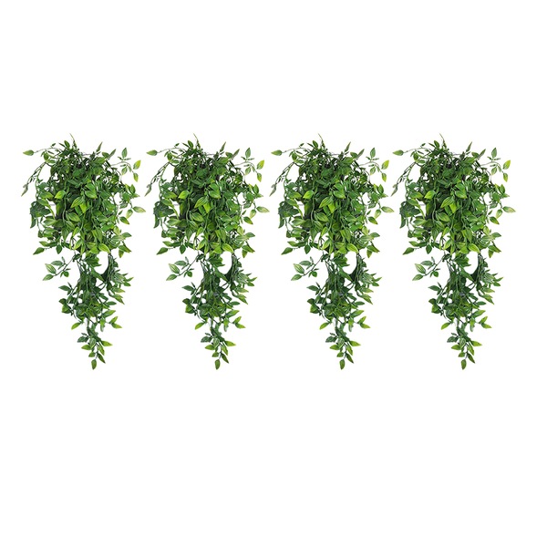 Image 18