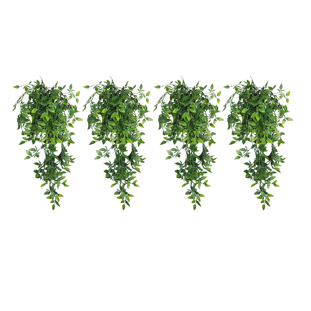 Image 18