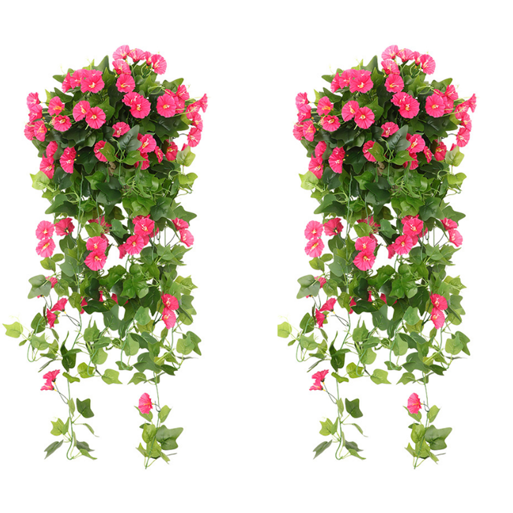 Image 21
