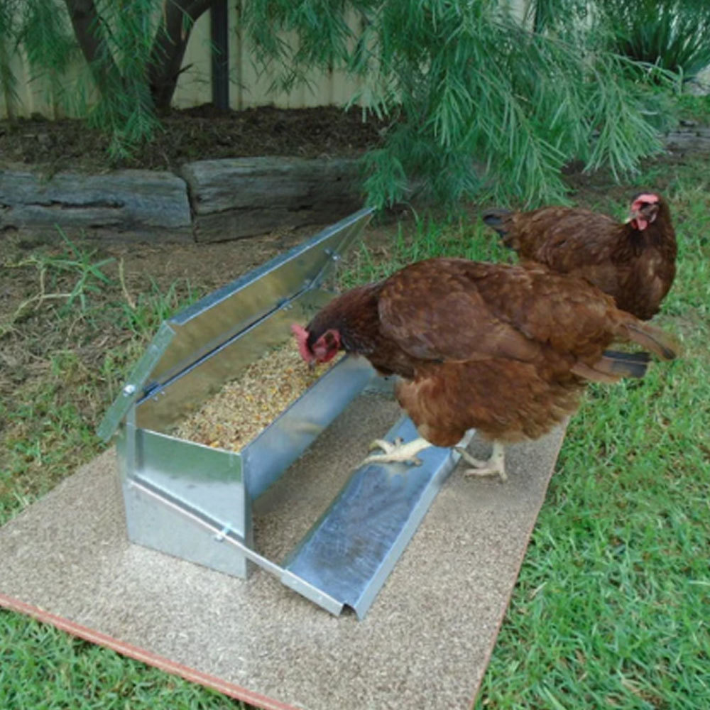 Image 6