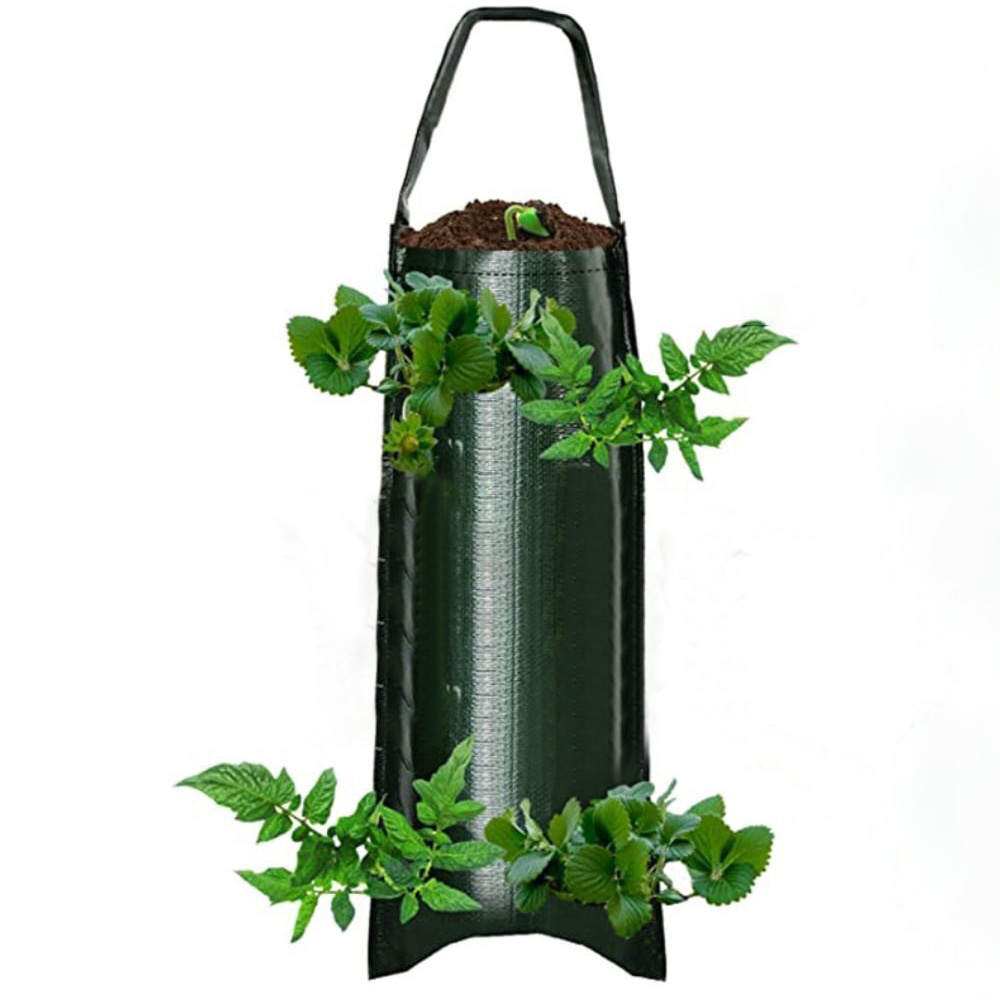 Image 11