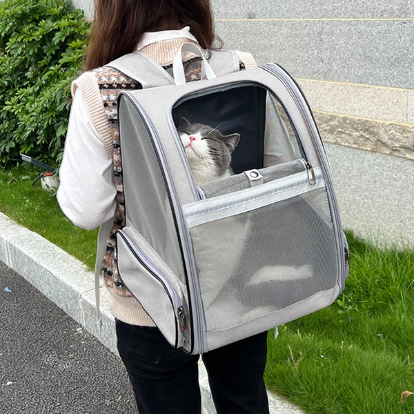 Image 21