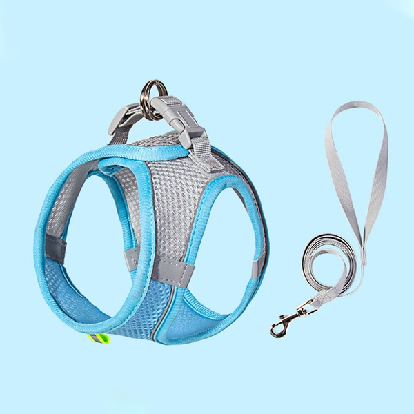 Image 21