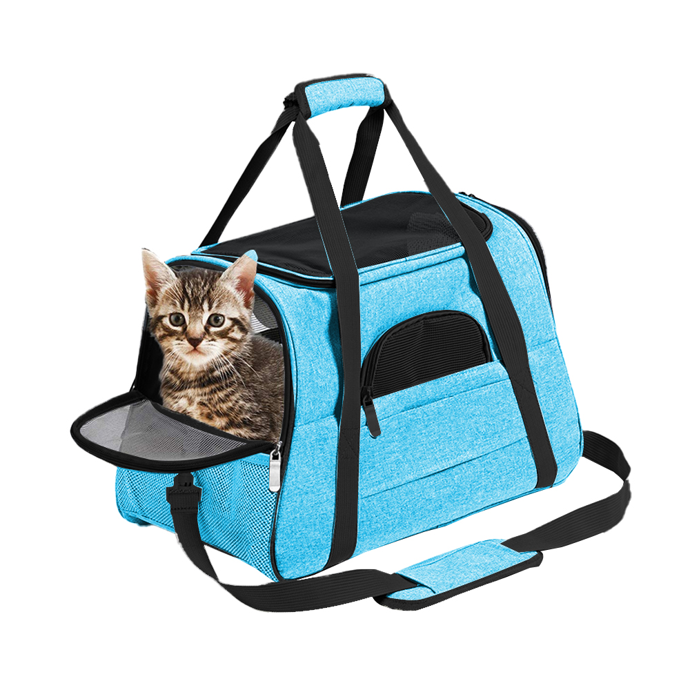 Image 21