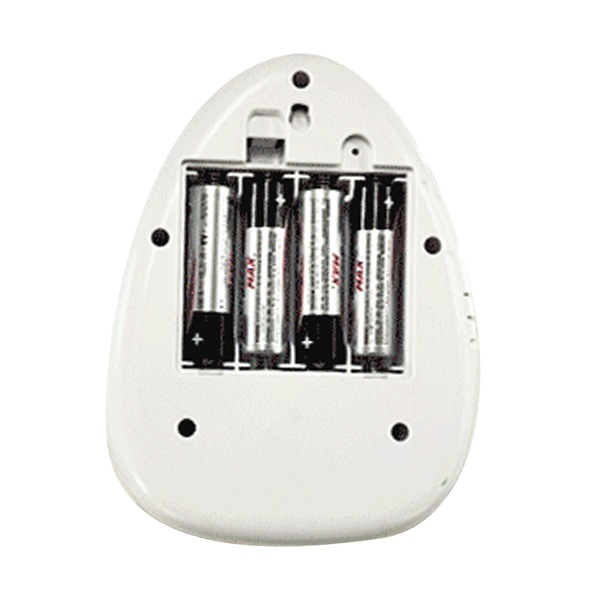 Image 4