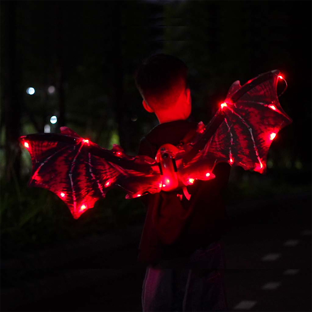 Image 8