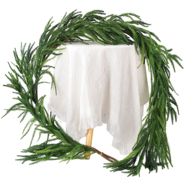 Image 15
