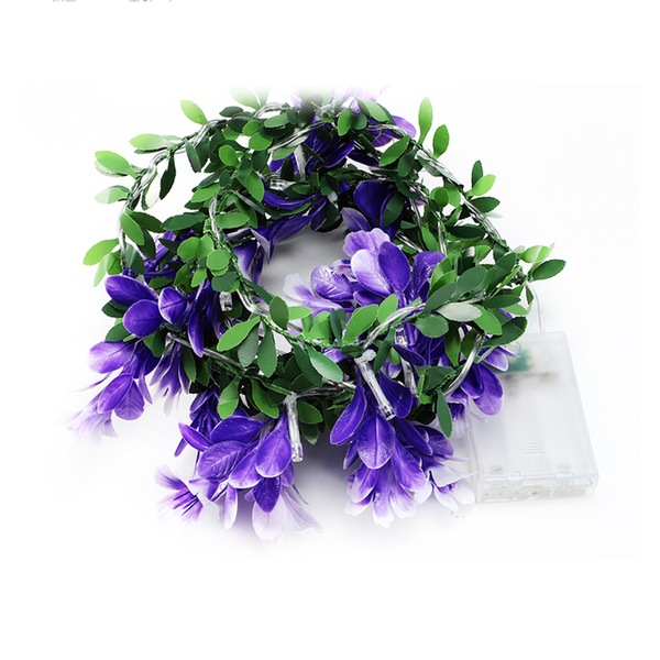 Image 11