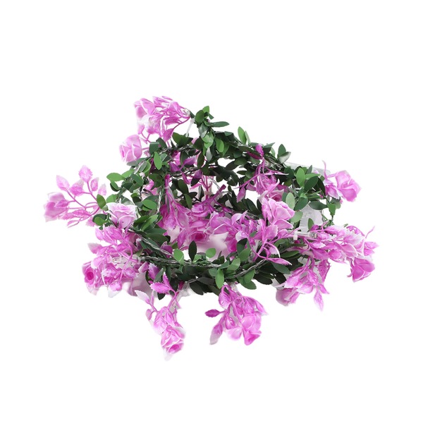 Image 14