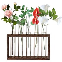 Desktop Glass Terrarium Wall Hanging Glass Planter with 5 Modern Test Tubes for Home Office Decoration
