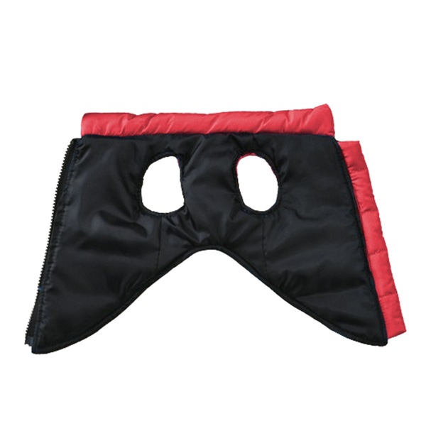 Image 22