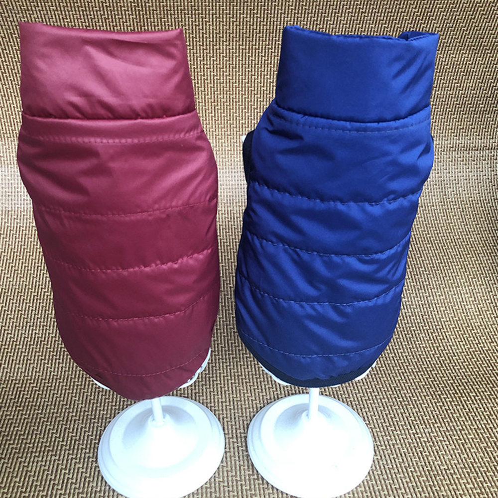 Image 15