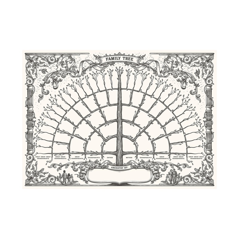 Buy Fillable Family Tree Chart Genealogy Poster Ancestry Chart Blank ...