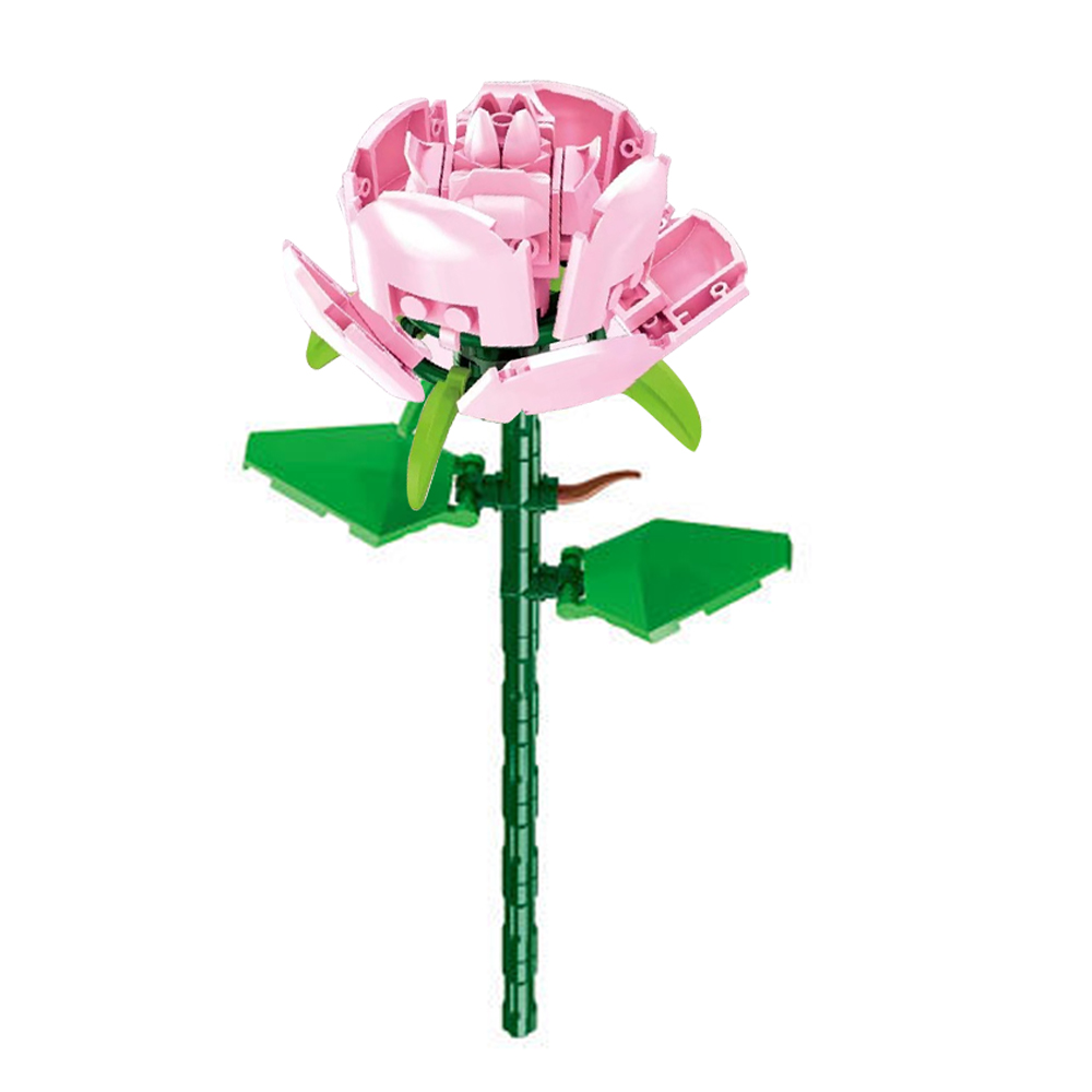 Image 15
