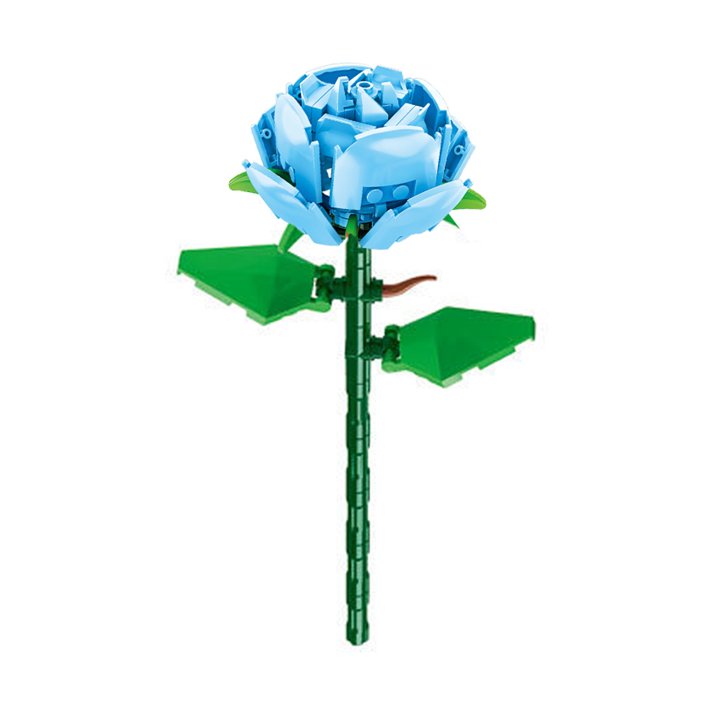 Image 16