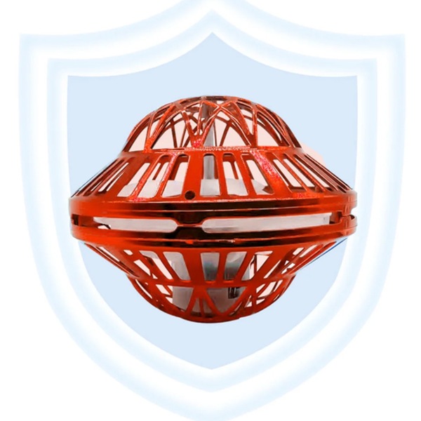 Image 21