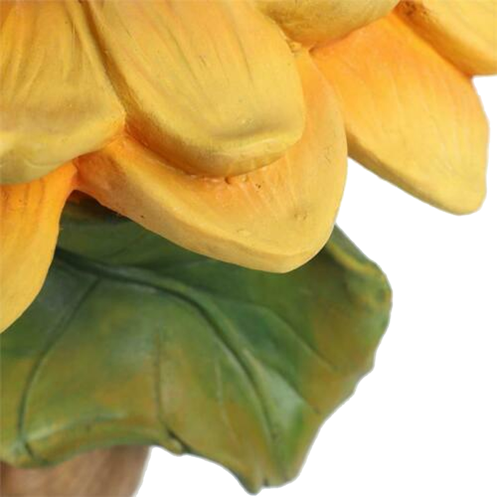 Image 16