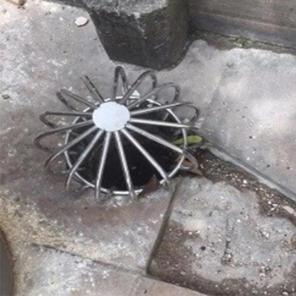 Image 8