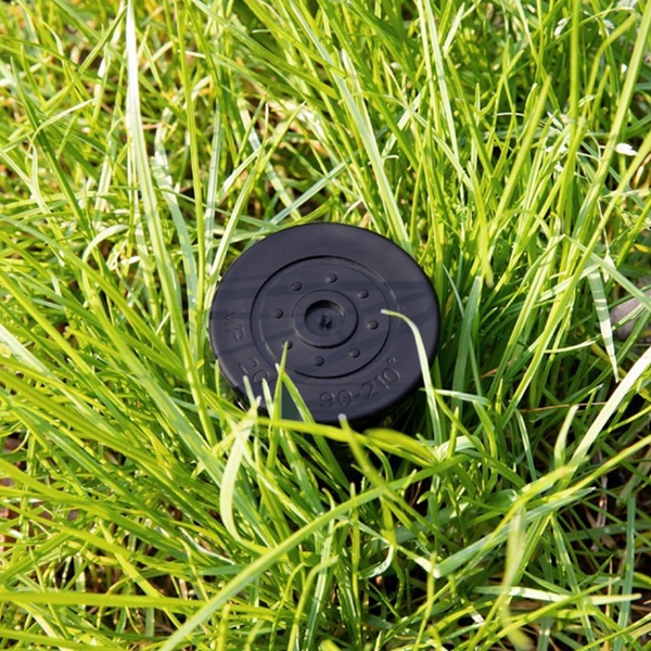 Image 10