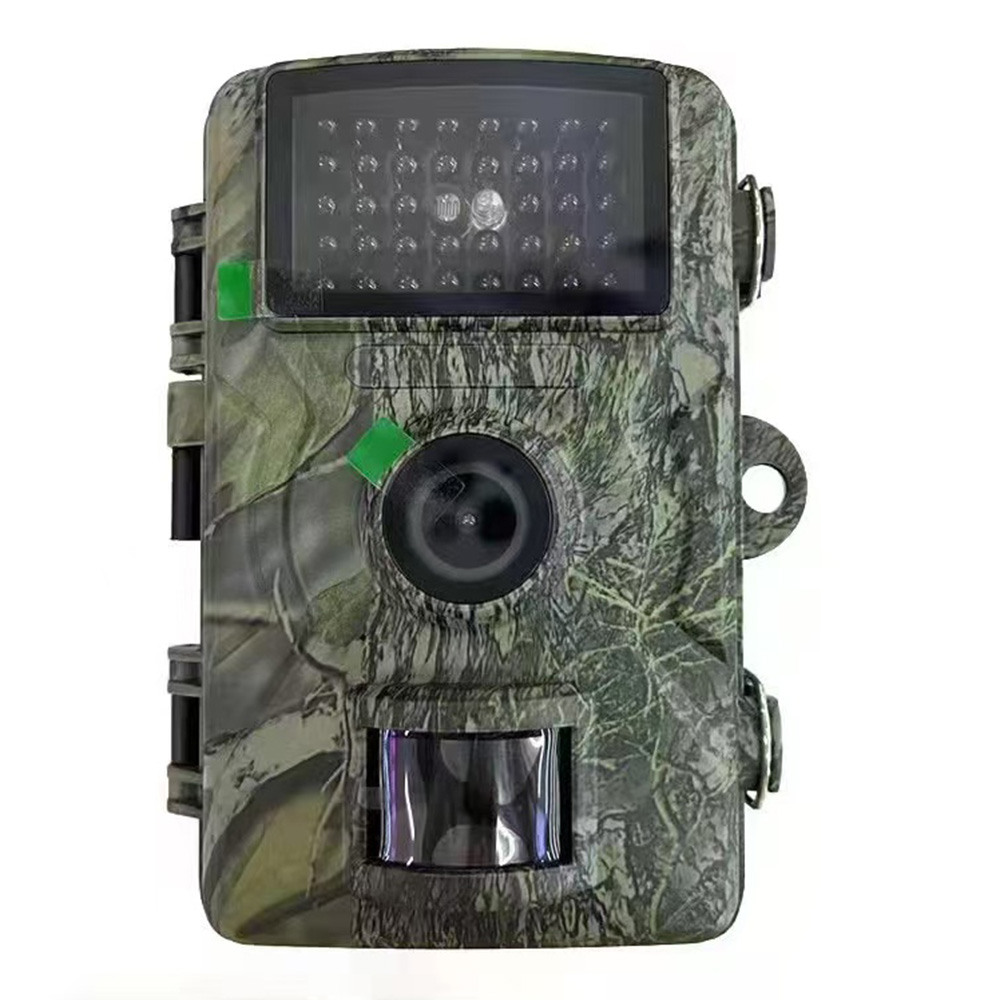 Image 4