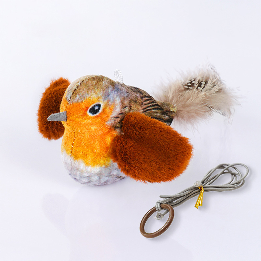 Image 22