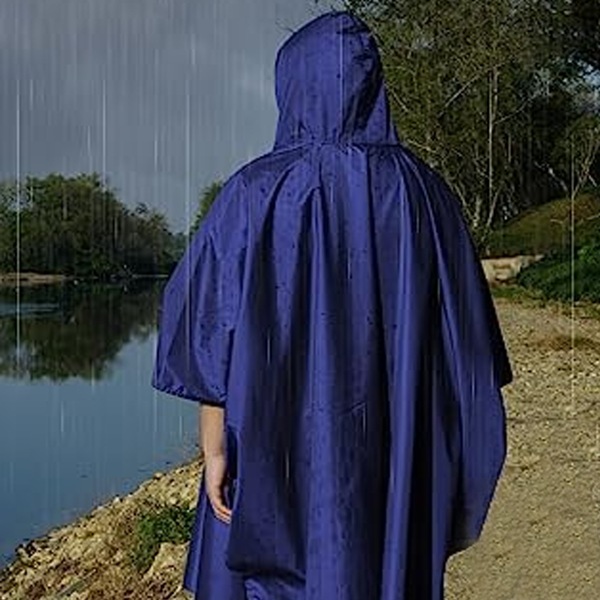 Image 17