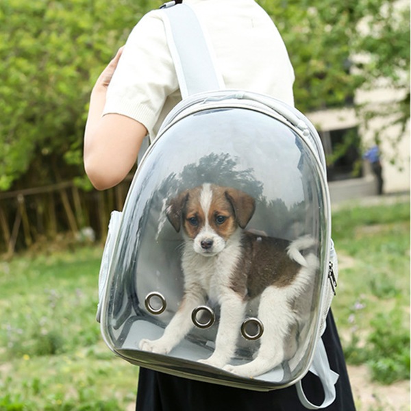 Image 27