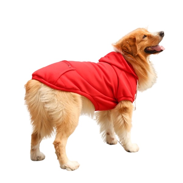 Image 17