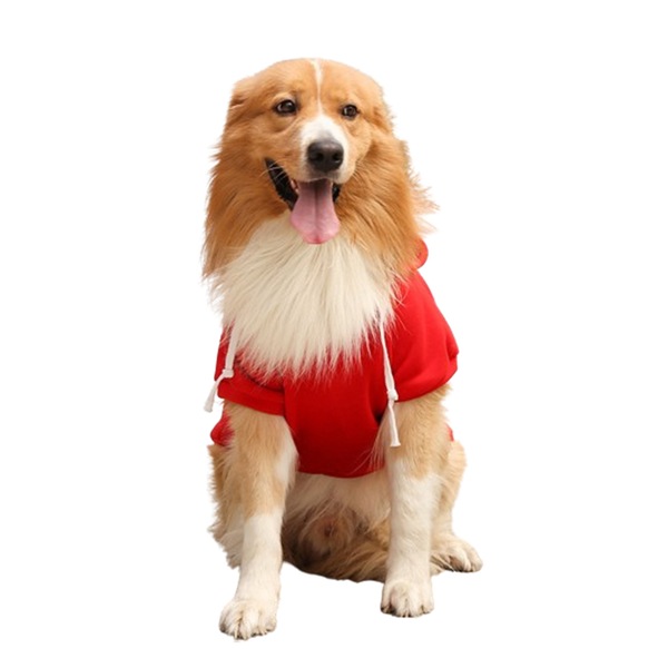 Image 20