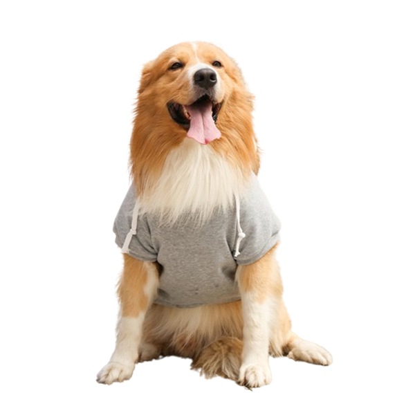 Image 21