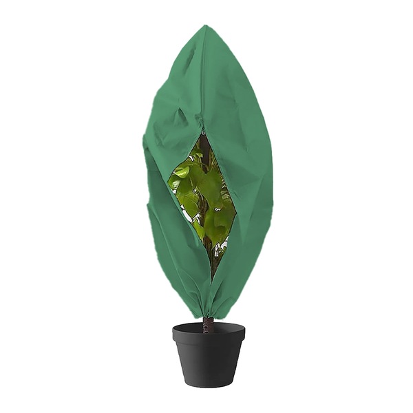 Image 21