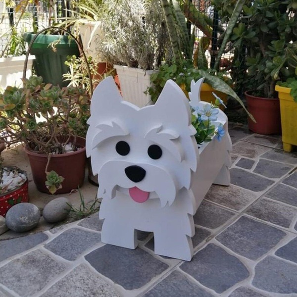 Image 10