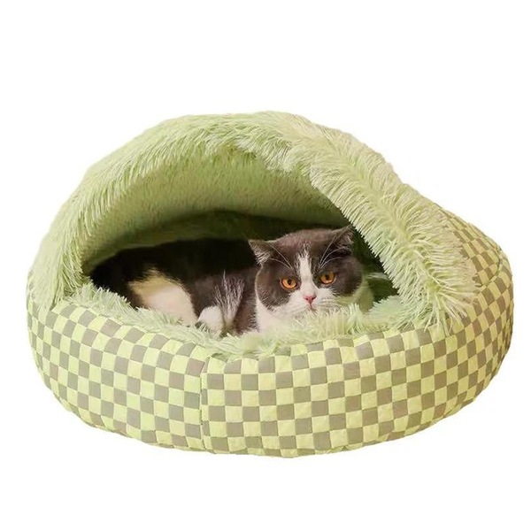 Image 21