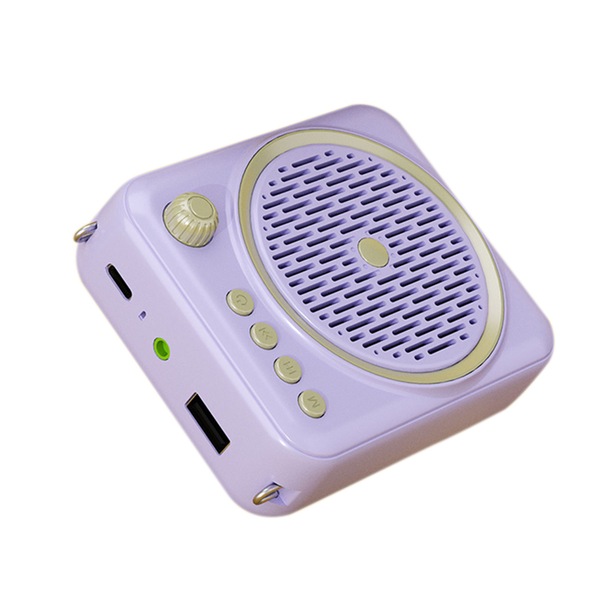 Image 21