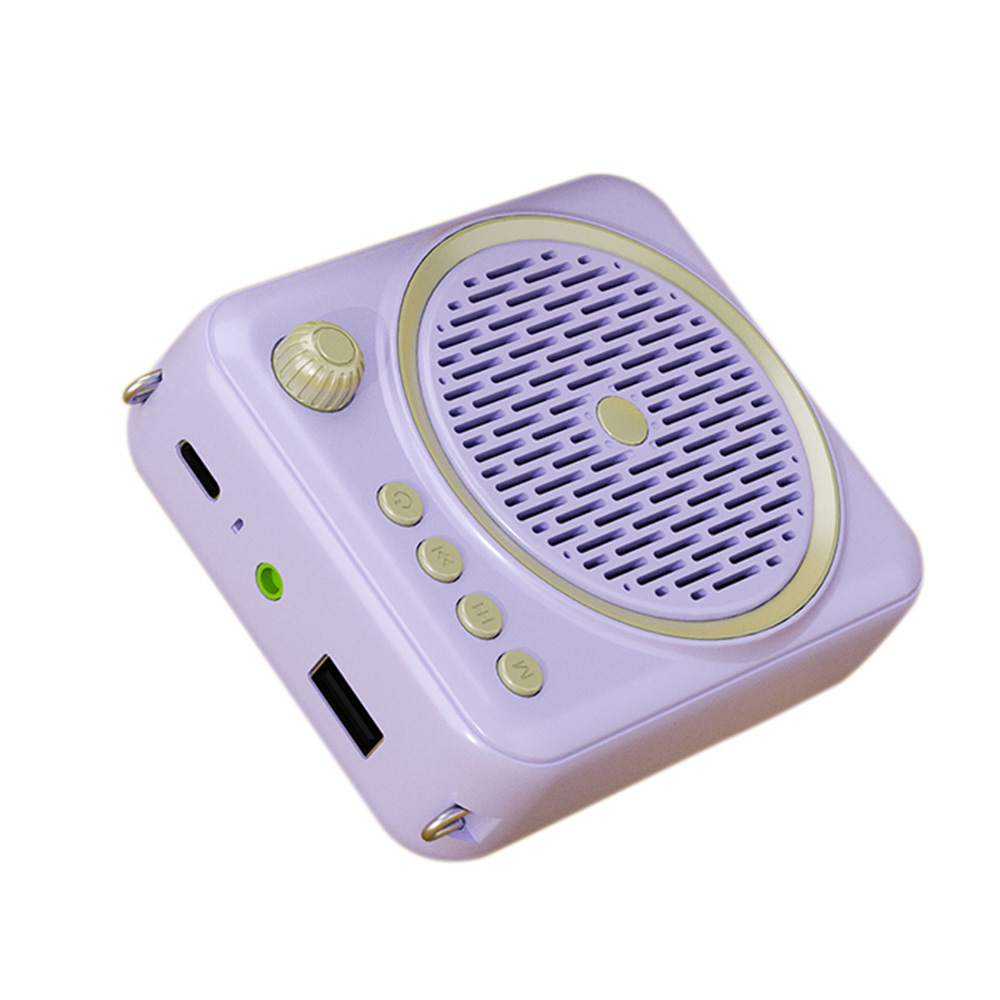 Image 21