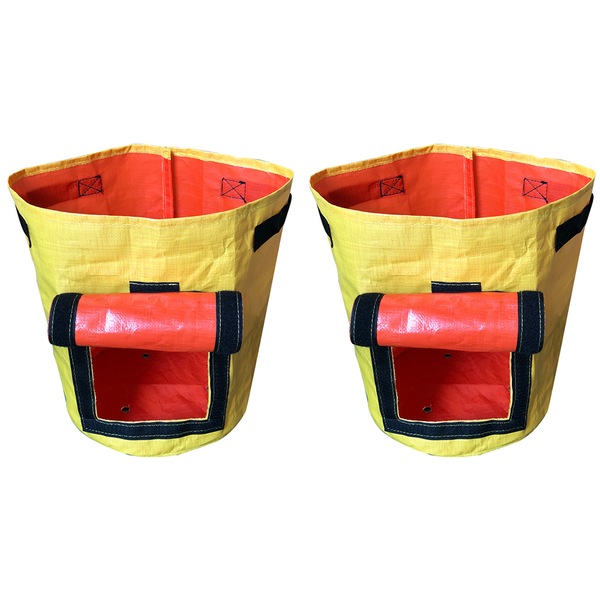 Image 5
