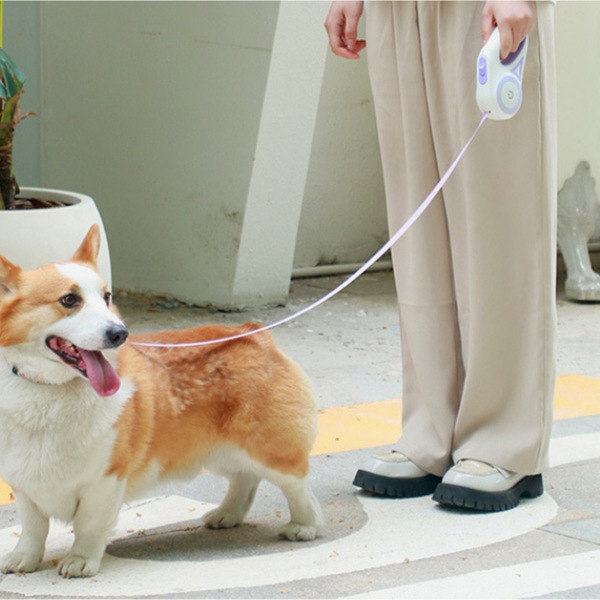 Image 23