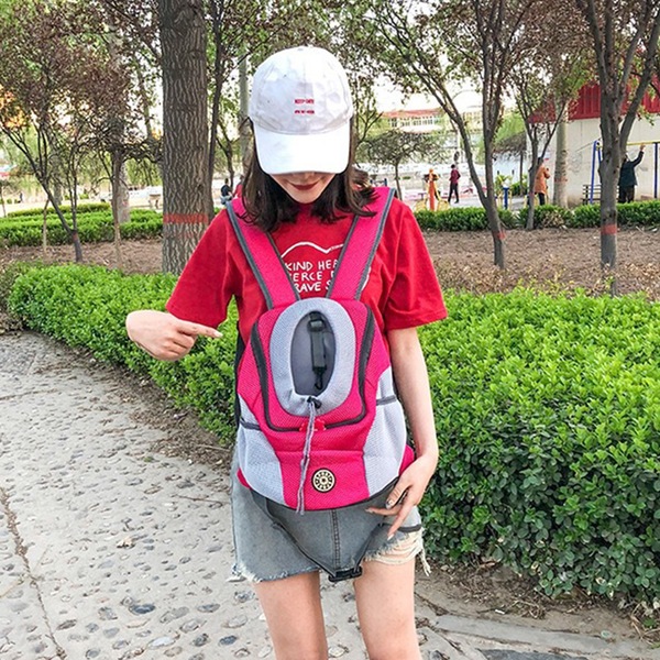 Image 21
