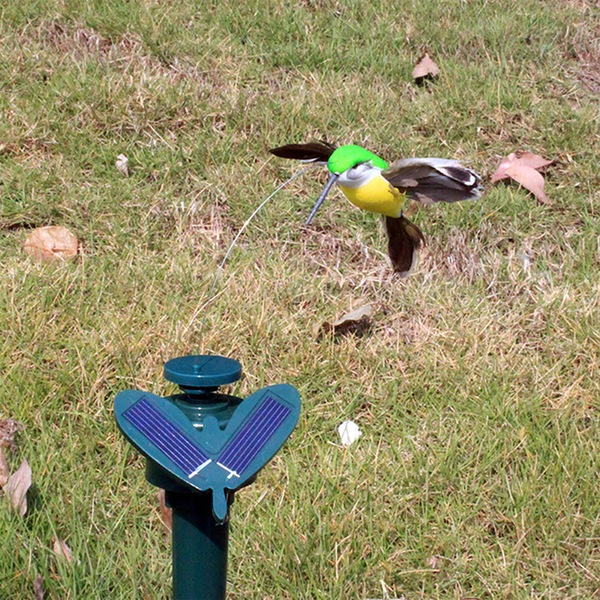 Image 8