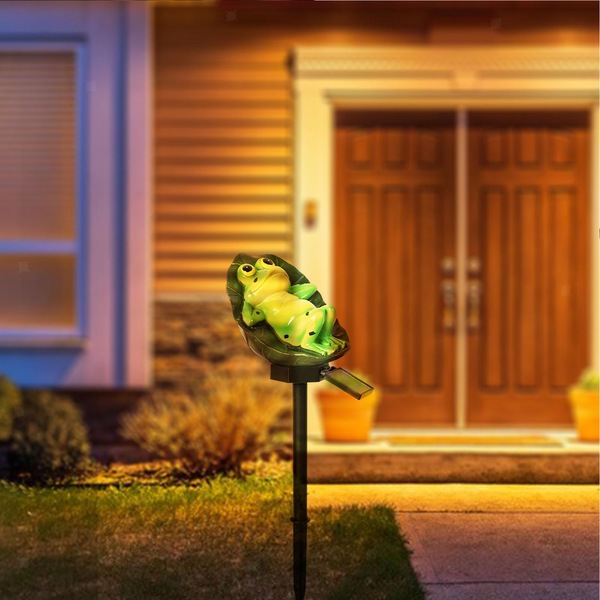 Image 6