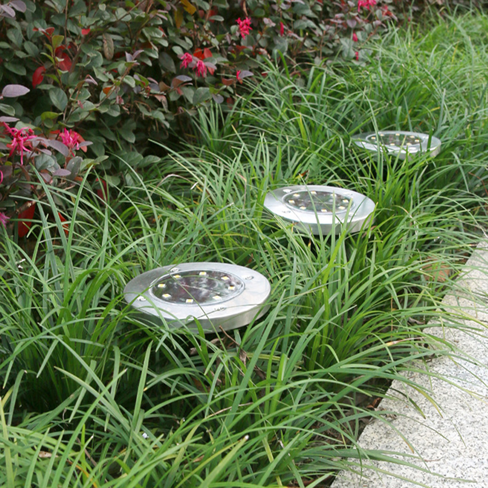 Image 10