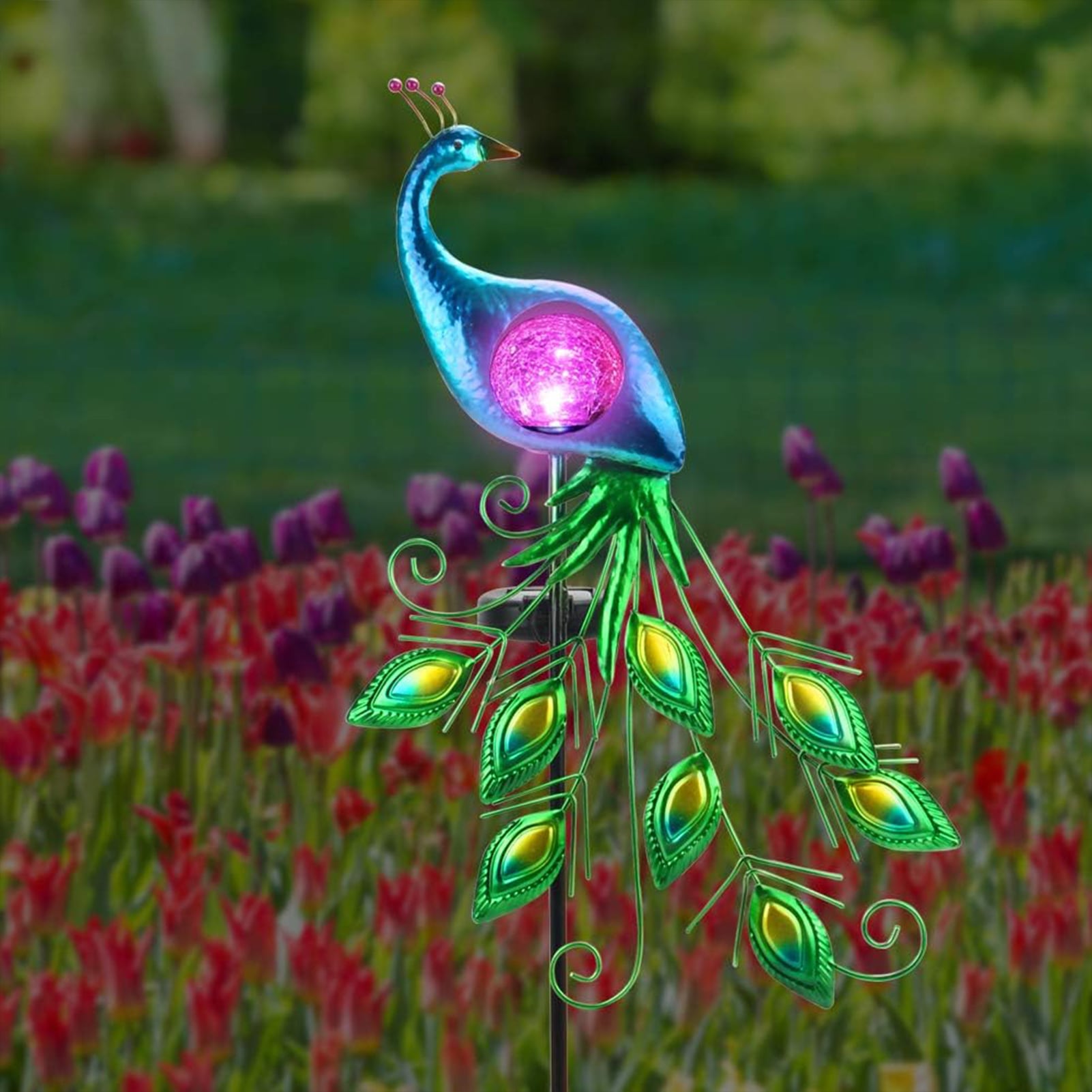 Solar garden online peacock