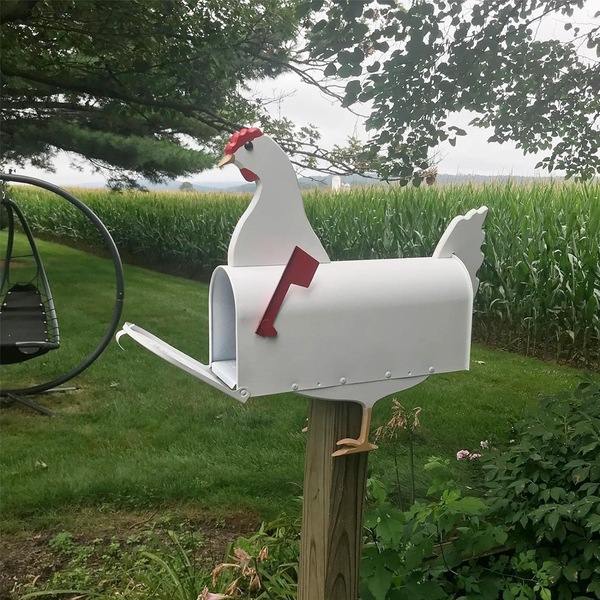 Image 14