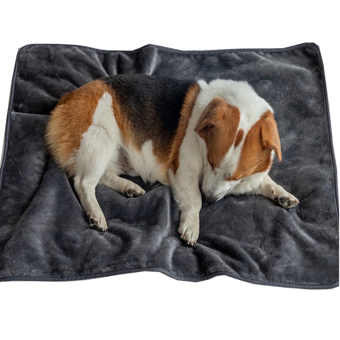 Buy Dog Blankets Online in Australia MyDeal