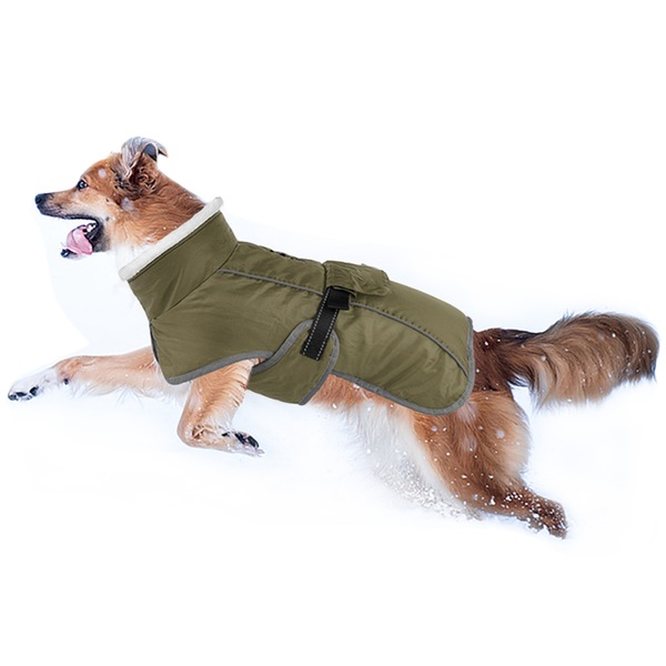 Image 21