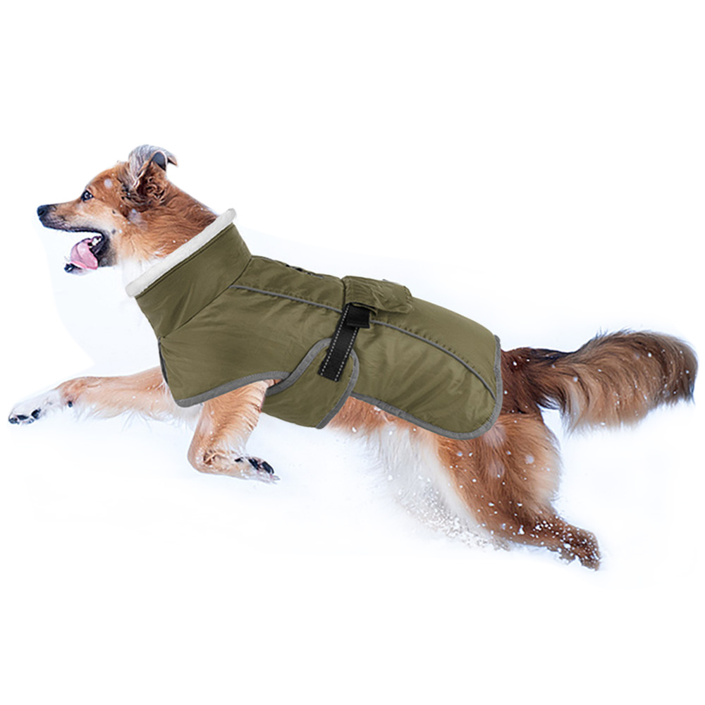 Image 21